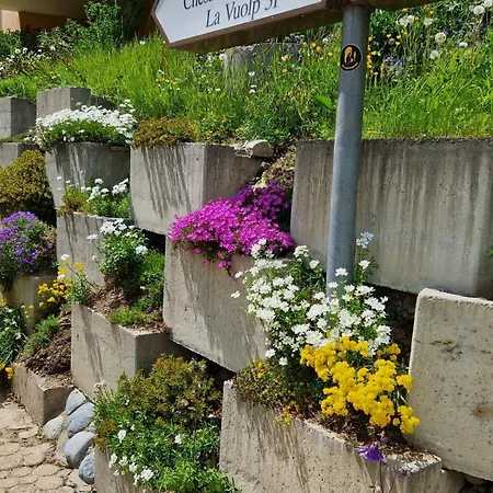 Chesa Bellaval, Haus La Vuolp 2,5 - Zimmerwohnung דירה