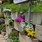 Chesa Bellaval, Haus La Vuolp 2,5 - Zimmerwohnung Διαμέρισμα